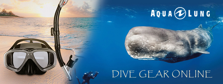 Dive Gear Online Australia