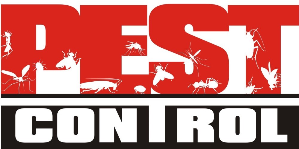 Why Pest Control Services Are a True Necessity? post thumbnail image