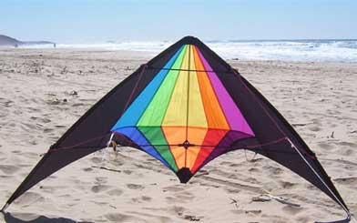 Unique Kite Styles
