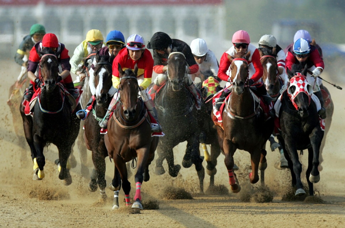 The 5 Easiest Ways to Find the Right Race Horse Syndication Company post thumbnail image