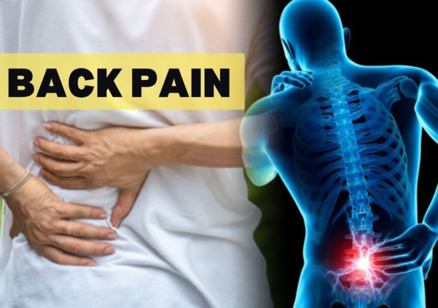 cbd and lower back pain